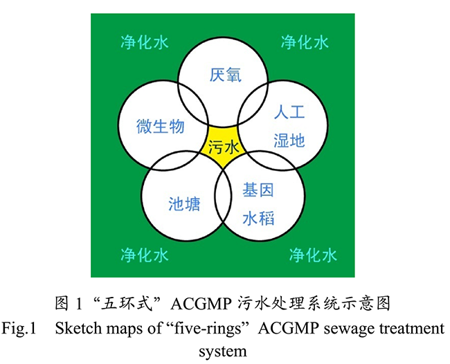 農村生活污水生態(tài)處理工藝研究