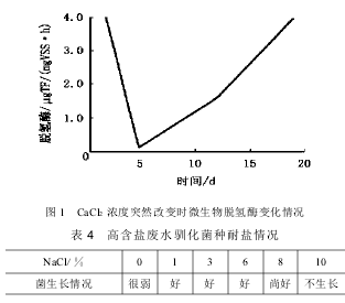 高含鹽廢水生物處理技術(shù)探討