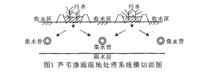 農村生活污水處理技術(shù)探討